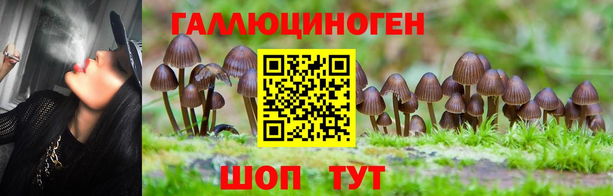 Псилоцибиновые грибы Magic Shrooms  как найти наркотики  Волгодонск  Вход с VPN 